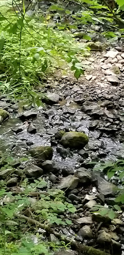 Nature Preserve «Lowami Hart Woods Natural Area», reviews and photos, 14895 SW Hart Rd, Beaverton, OR 97007, USA