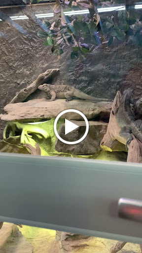 Pet Store «Incredible Pets Inc», reviews and photos, 2255 N Wickham Rd # 102, Melbourne, FL 32935, USA