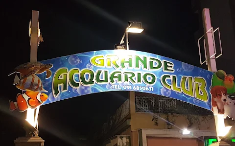 Grande Acquario Club image