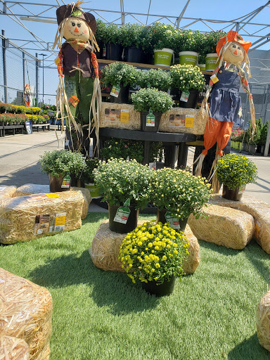 Department Store «Walmart Supercenter», reviews and photos, 939 N Dupont Blvd, Milford, DE 19963, USA