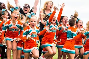 Plant City Dolphins Football image