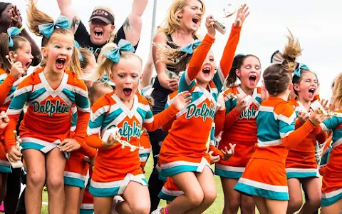 Plant City Dolphins Football image
