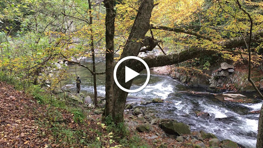 Auto Parts Store «AutoZone», reviews and photos, 88 Flowing Springs Rd, Charles Town, WV 25414, USA