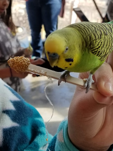 Zoo «Cheyenne Mountain Zoo», reviews and photos, 4250 Cheyenne Mountain Zoo Rd, Colorado Springs, CO 80906, USA