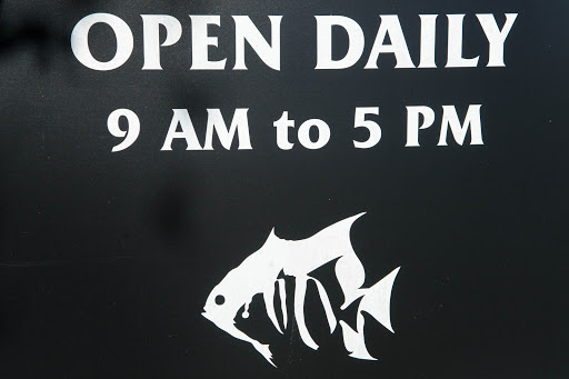 Aquarium «North Carolina Aquarium at Pine Knoll Shores», reviews and photos, 1 Roosevelt Blvd, Pine Knoll Shores, NC 28512, USA