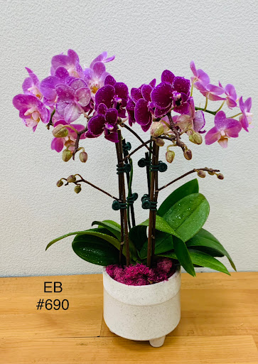 Everblooming Floral & Gift image