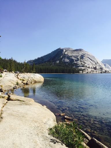 National Park «Yosemite National Park», reviews and photos