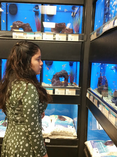 Pet Supply Store «Petco Animal Supplies», reviews and photos, 31090 Dyer St, Union City, CA 94587, USA