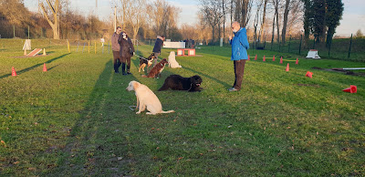 Club Canin Anzin à Anzin