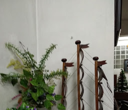 RC Guest House photo