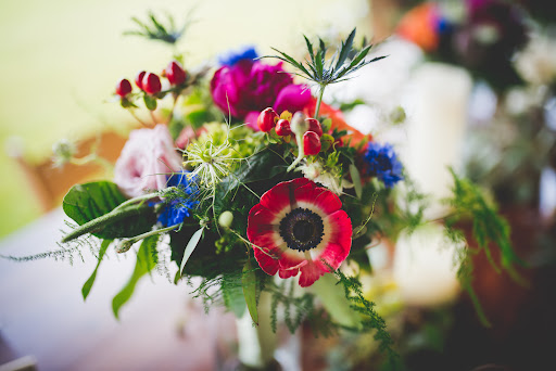 Florist «Wisteria Flowers & Gifts», reviews and photos, 360 Culver Rd, Rochester, NY 14607, USA