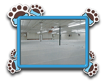 Pet Store «AA Ridgewood Kennels II», reviews and photos, 5401 Lincoln Hwy, Gap, PA 17527, USA