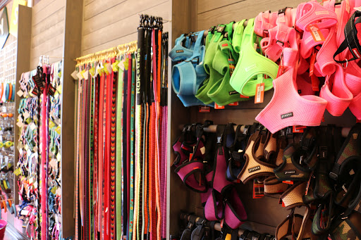 Pet Supply Store «Woof Gang Bakery & Grooming Lake Mary», reviews and photos, 1210 International Pkwy #118, Lake Mary, FL 32746, USA