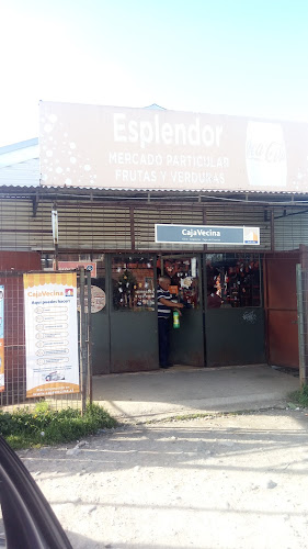 Mercado Particular Esplendor