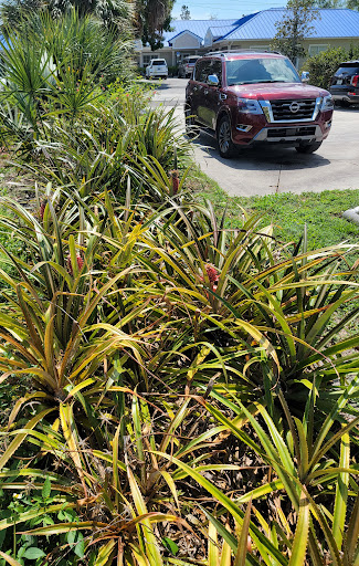 Credit Counseling Service «William E. Lewis, Jr. & Associates», reviews and photos