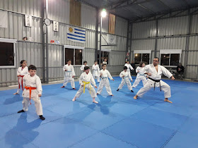 Academia de Karate Escuela Shotokan Maldonado