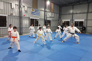 Shotokan Karate Academy School Maldonado image