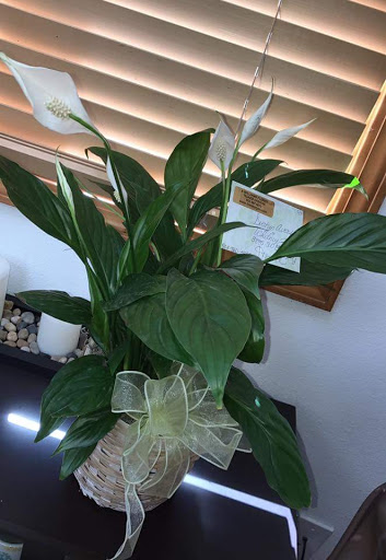 Florist «Tigard Florist», reviews and photos, 10190 SW View Terrace, Tigard, OR 97224, USA