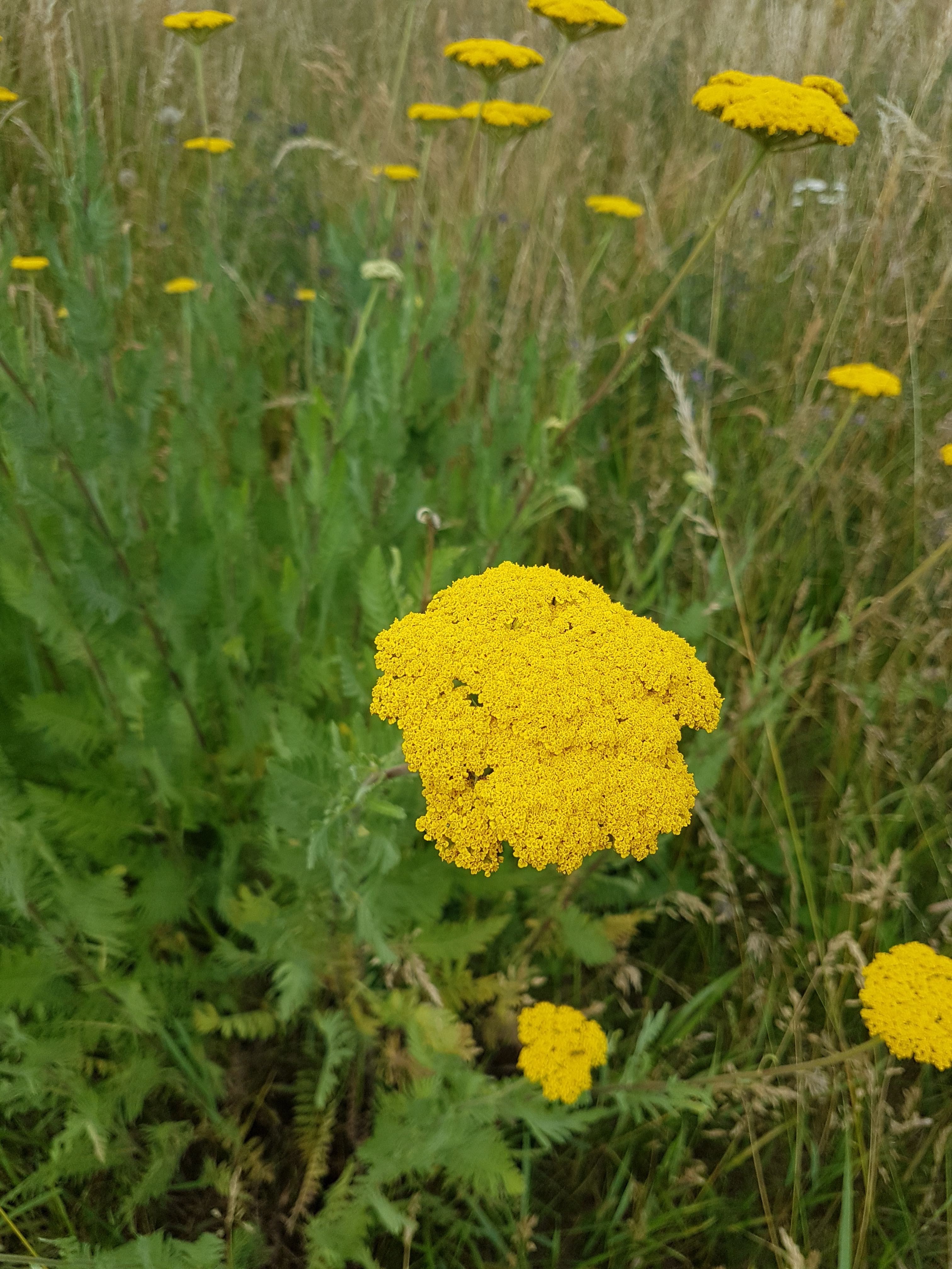 Photo n° 9 de l'avis de Amicie.e fait le 17/06/2020 à 14:41