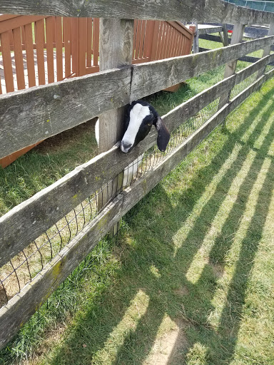 Golf Course «Waters Edge Mini Golf», reviews and photos, 230 N Ronks Rd, Bird in Hand, PA 17505, USA