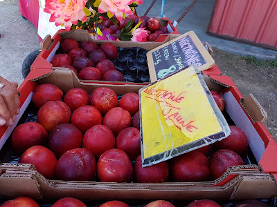Vente Fruits Direct Producteur à Allan