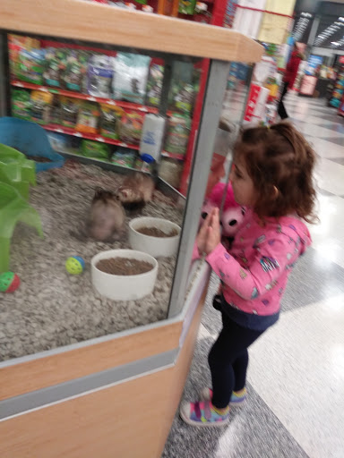 Pet Supply Store «Petco Animal Supplies», reviews and photos, 45 Holyoke St, Holyoke, MA 01040, USA