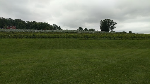 Winery «Clover Hill Vineyards & Winery», reviews and photos, 9850 Newtown Rd, Breinigsville, PA 18031, USA