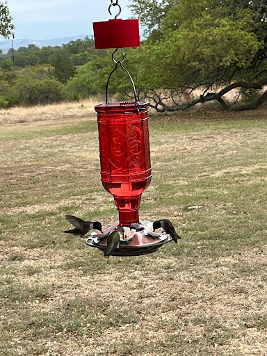 Winery «Westcave Cellars Winery», reviews and photos, 25711 Hamilton Pool Rd, Round Mountain, TX 78663, USA