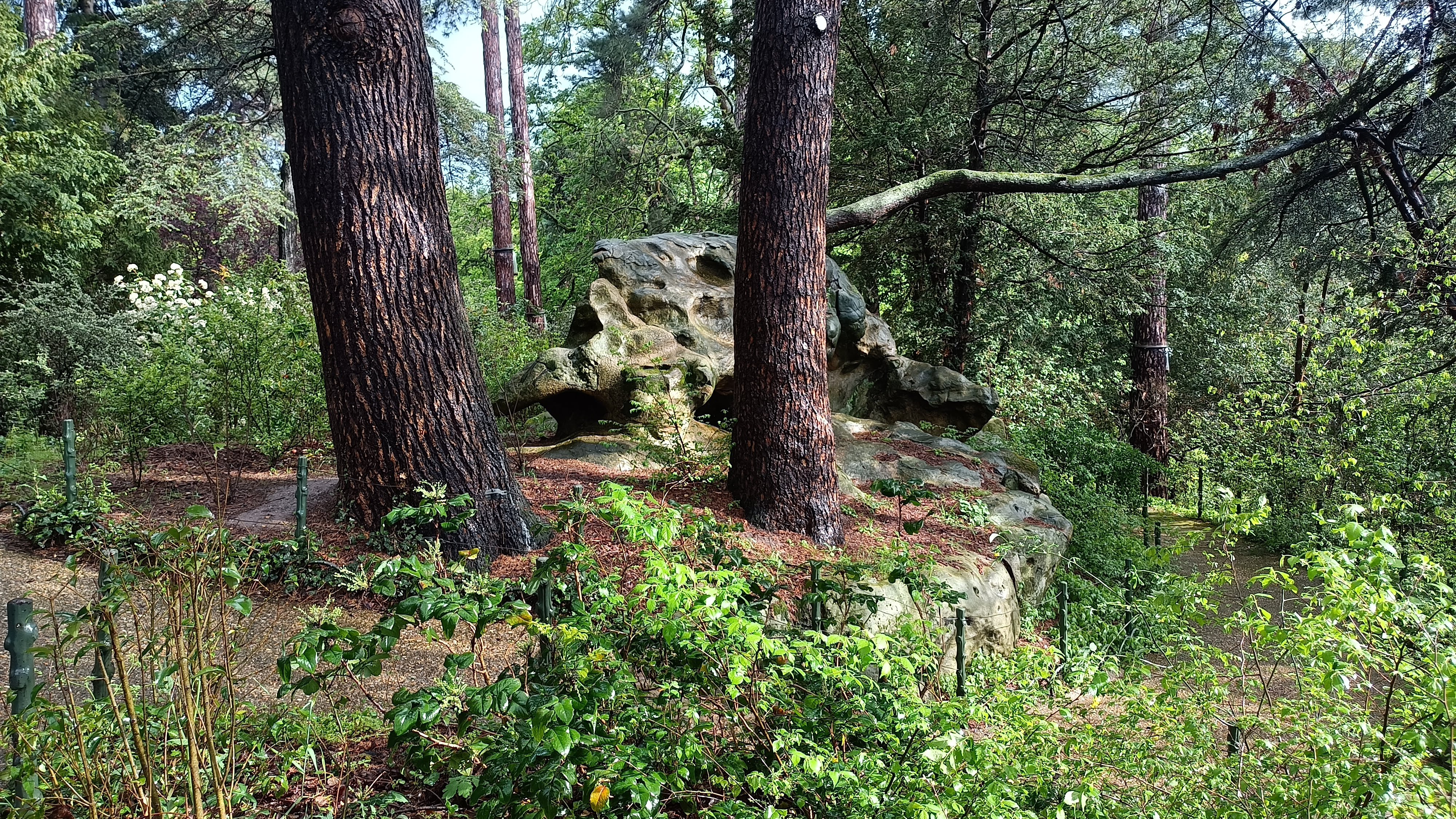 Photo n° 10 de l'avis de D. fait le 10/05/2023 à 10:51