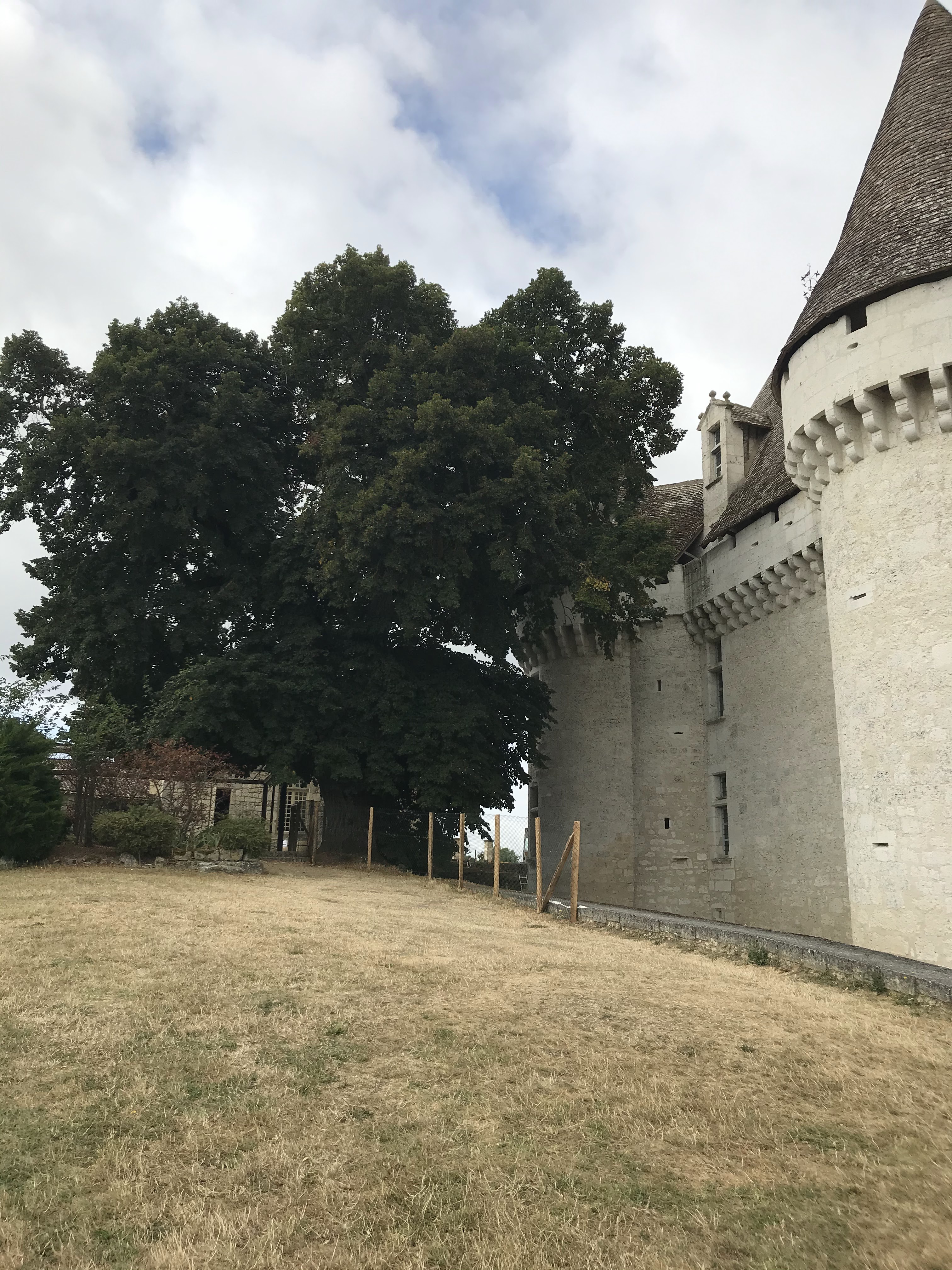 Photo n° 6 de l'avis de Christine.u fait le 28/07/2020 à 17:02
