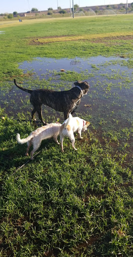 Community Center «Pecos Community Center», reviews and photos, 17010 S 48th St, Phoenix, AZ 85048, USA