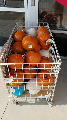 Craft Store «Michaels», reviews and photos, 4155 Phoenix Ave, Fort Smith, AR 72903, USA