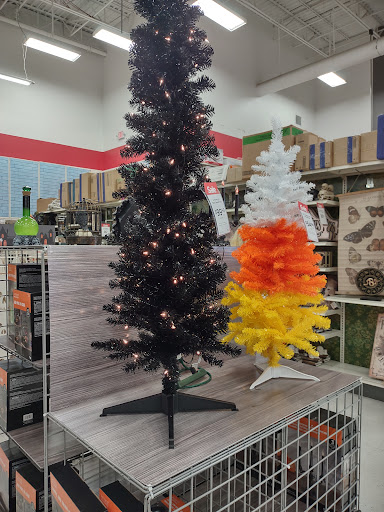 Craft Store «Michaels», reviews and photos, 310 Cbl Dr, St Augustine, FL 32086, USA