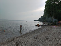 Foto van Plage Buchillon wilde omgeving