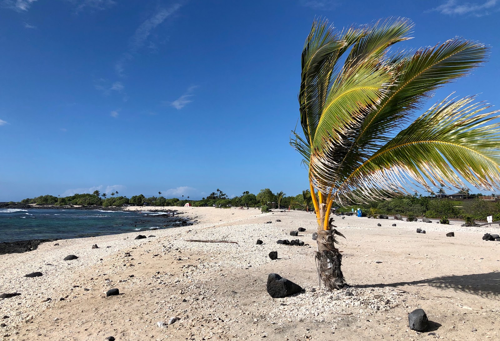 Photo of Pine Trees Beach and the settlement