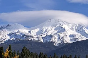 Shasta National Forest image