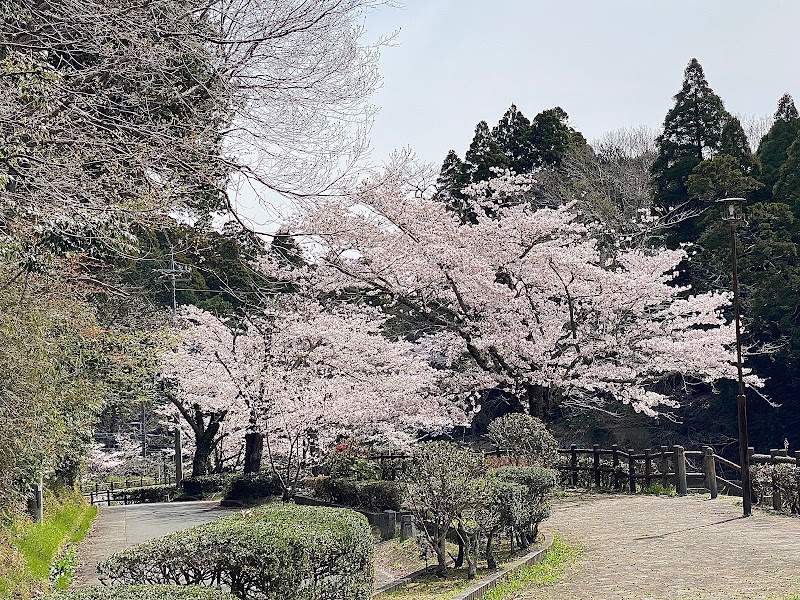 岩川池(山王台公園)