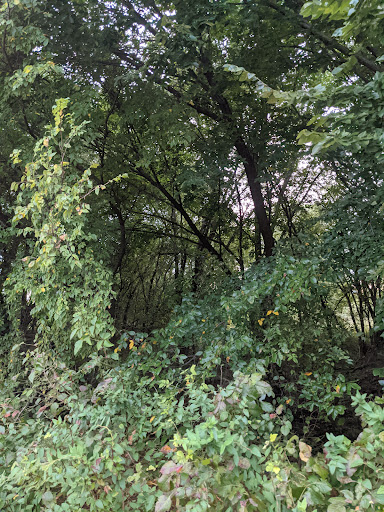 Park «Russell Creek Park», reviews and photos, 3500 McDermott Rd, Plano, TX 75025, USA