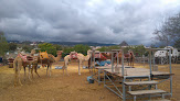 Camel Park Los Cristianos