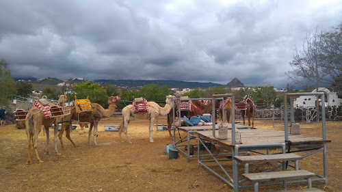 Camel Park à Los Cristianos
