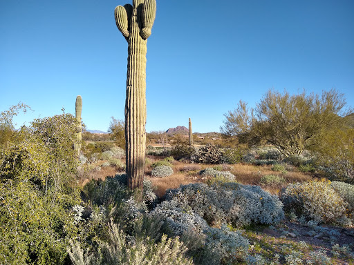 Golf Course «Anthem Country Club», reviews and photos, 2708 W Anthem Club Dr, Phoenix, AZ 85086, USA