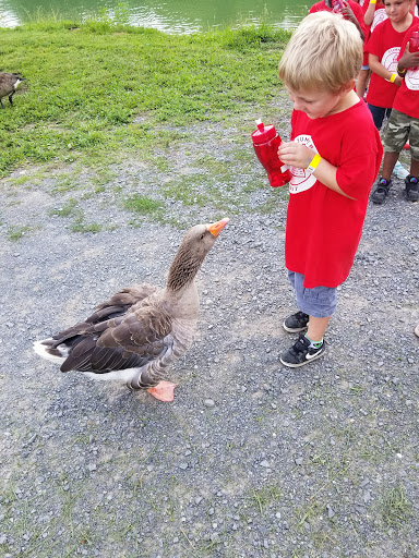 Zoo «Leesburg Animal Park», reviews and photos, 19270 James Monroe Hwy, Leesburg, VA 20175, USA