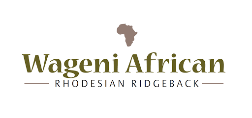 Rhodesian Ridgeback Zucht Wageni African