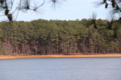 Battle Site «Allatoona Pass Battlefield», reviews and photos, Old Allatoona Rd SE, Cartersville, GA 30121, USA