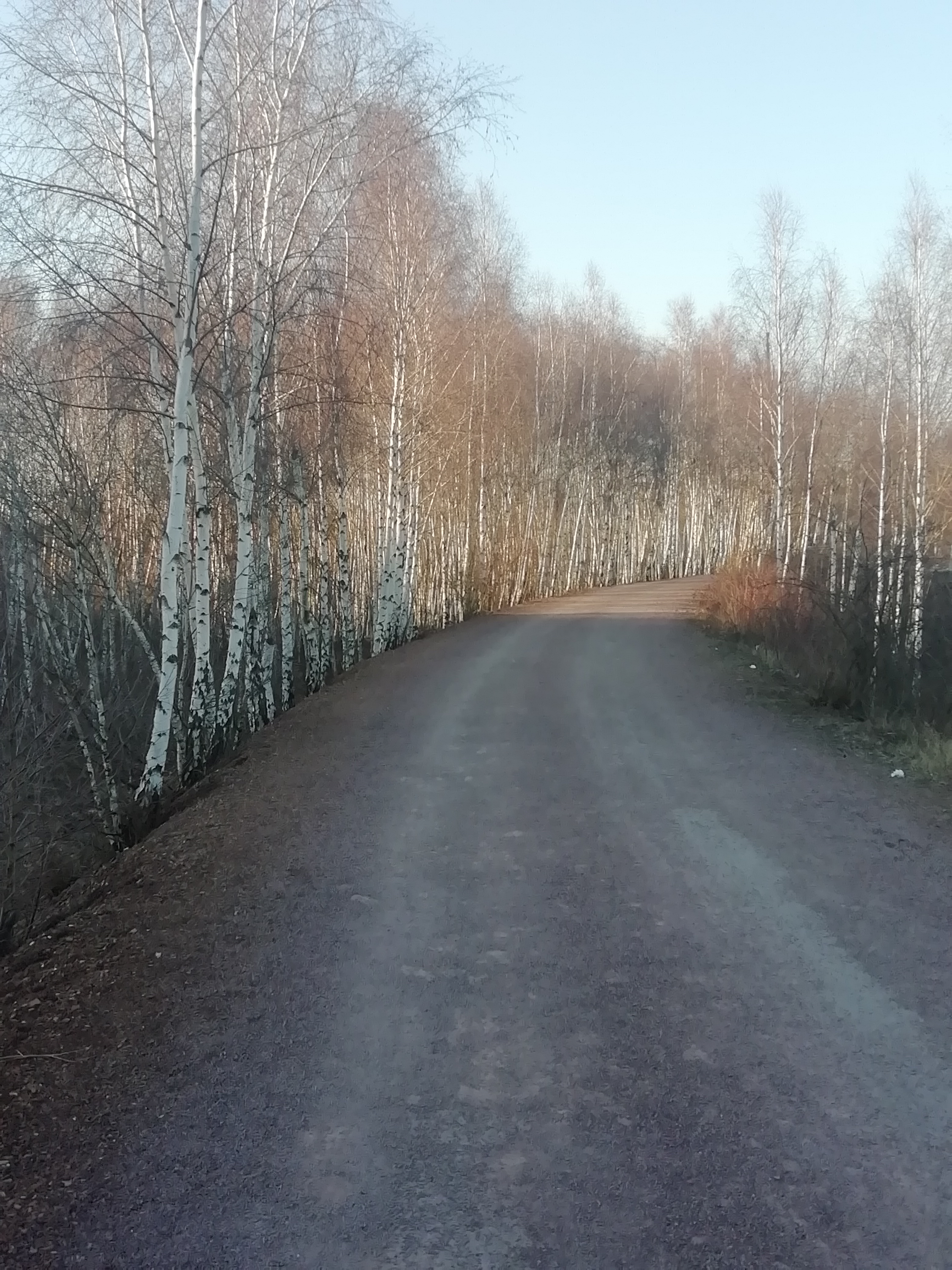 Photo n° 6 de l'avis de annette.e fait le 27/02/2021 à 17:26
