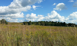 Rose Lake State Natural Area