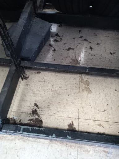 Tire Shop «Firestone Complete Auto Care», reviews and photos, 509 W Commerce St, Brownwood, TX 76801, USA