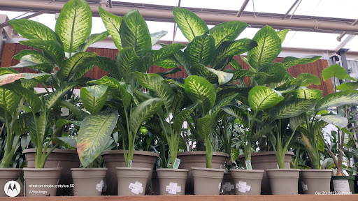 Green Acres Nursery & Supply image