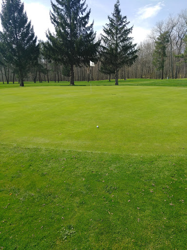 Golf Course «Mastick Woods Golf Course», reviews and photos, 19900 Puritas Ave, Cleveland, OH 44135, USA