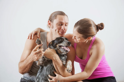 Yoga Studio «Spotted Dog Yoga», reviews and photos, 2780 E Bidwell St #300, Folsom, CA 95630, USA